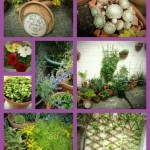 Thrifty Home: Create a Yarden Retreat (Back Yard Container Gardening)