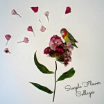 Parrot Flower Card