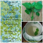 Fresh Lemon Balm Tea Recipe