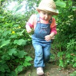 Intrepid Explorer Toddler Mumslist