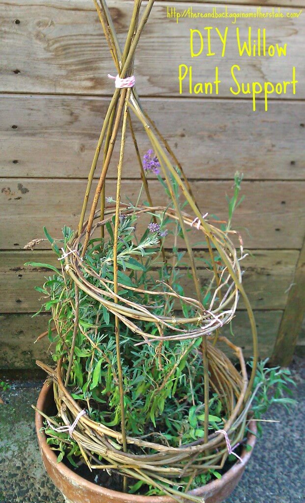 diy willow plant support