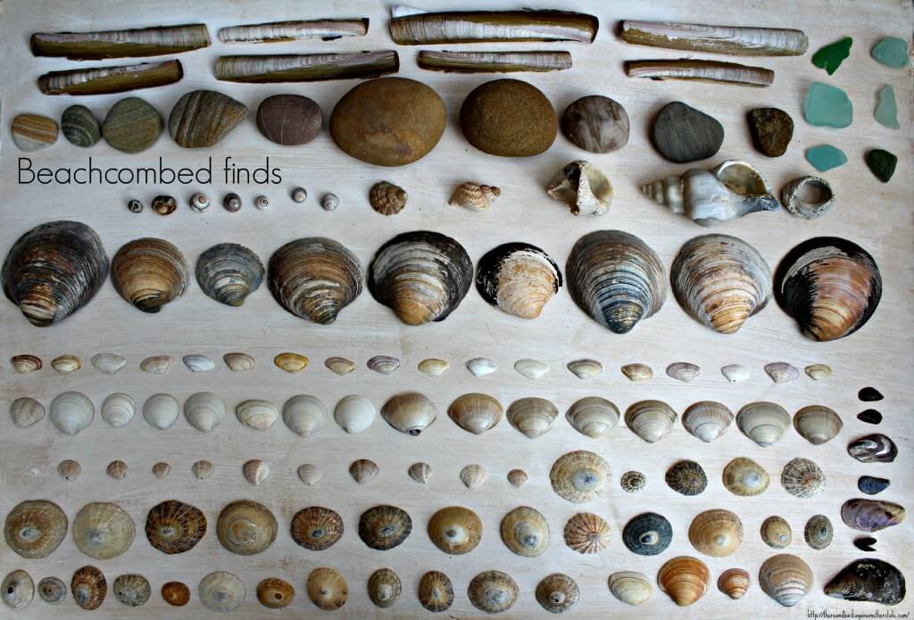 Beachcombing Finds from Northumberland