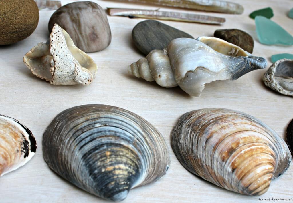 Beachcombing Finds from Northumberland